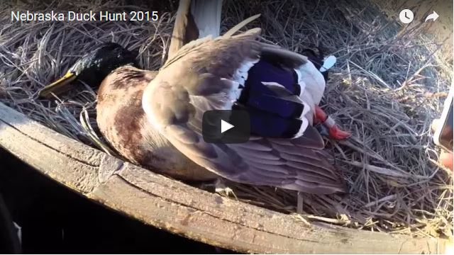 VIDEO: Nebraska Duck Hunt 2015