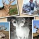 Big Whitetails from Alberta to South Texas