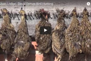 VIDEO: San Juan Lodge – David Denies Bird Hunting