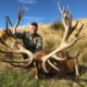 Huge Stags, Trophy Tahr and Chamois in New Zealand