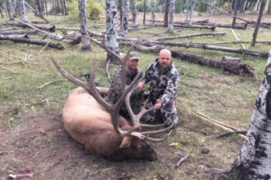Scouting Report – Trophy Elk in New Mexico…check out the bulls!