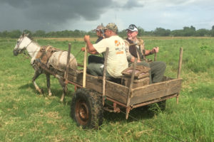 Trip Report: White-wing Doves in Nicaragua!!!