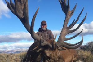 Giant Stags in Patagonia