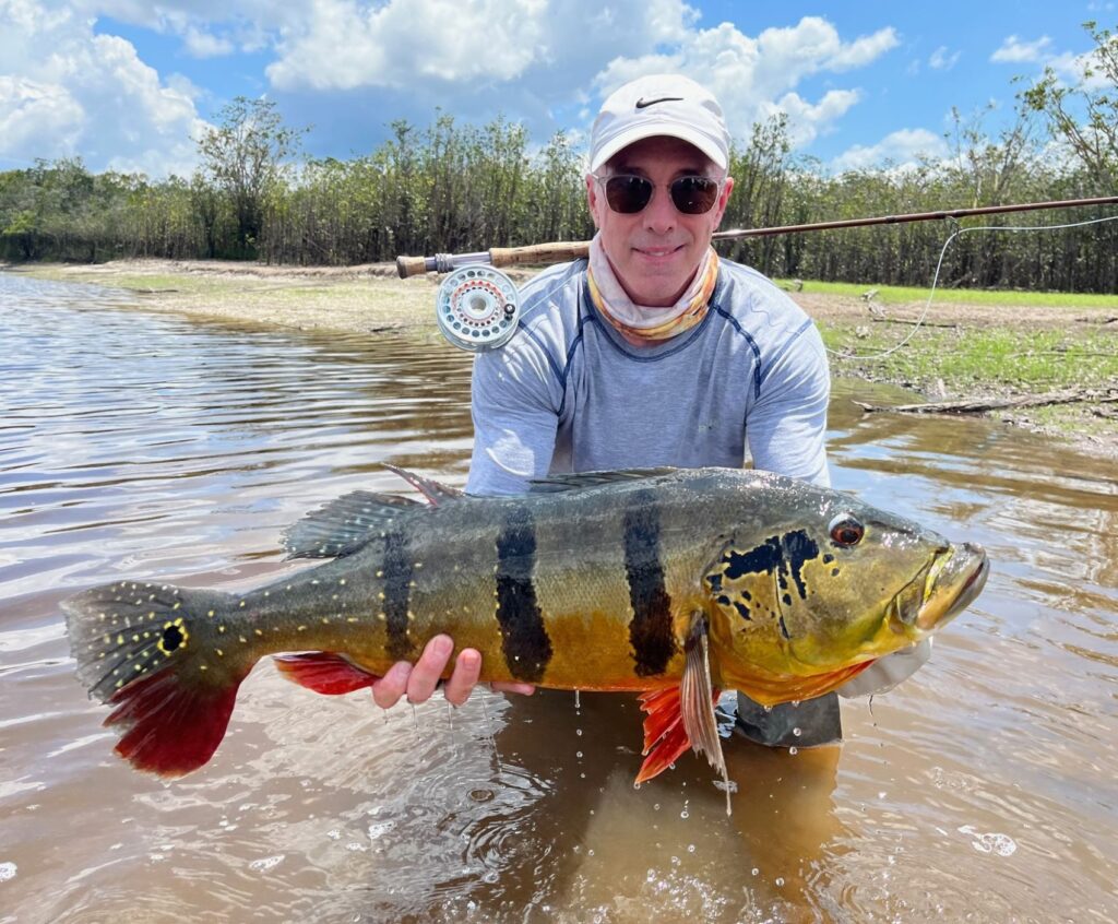 Really Big Peacock Bass!