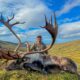 Another Great Alaska Hunting Season – Moose, Bears, Caribou!