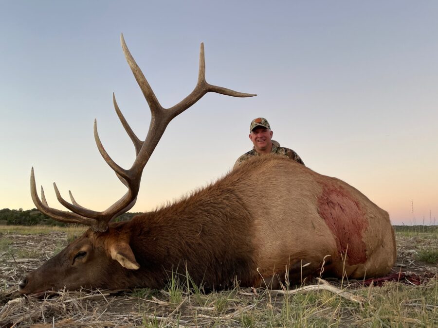 A Fantastic 2025 Elk Season! Check out the bulls